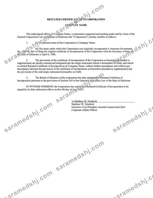 USA Delaware certificate of incorporation Word and PDF template